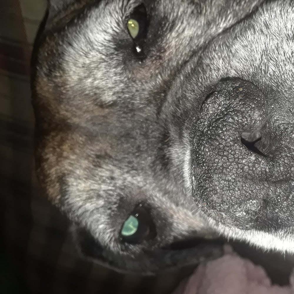 Meet your Posher, Cortney